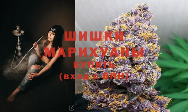соль ск Кодинск