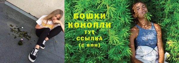 молекула духа Киренск