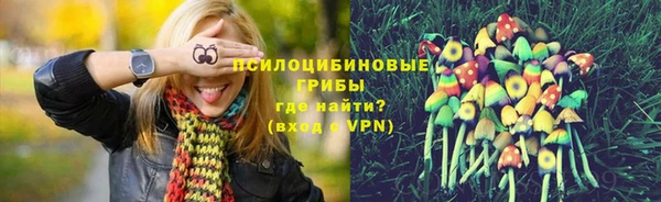 мдма Киреевск