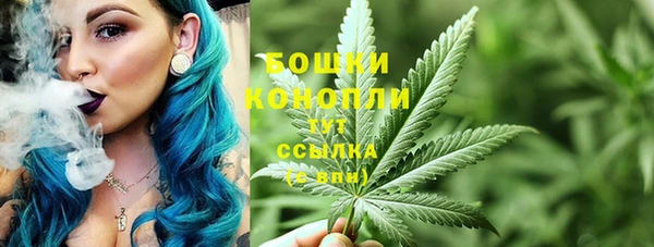 гидропоника Каменка